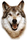 Sorriso.gif (6128 byte)
