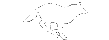 WhiteRunning.gif (805 byte)