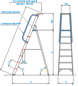 Disegno 6036